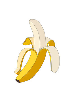 Half peeled ripe banana close up appetizing realistic vector image.