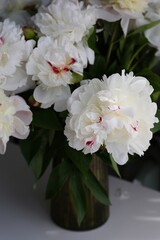 bouquet of white peonies in the white table