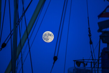 Moon