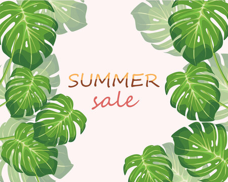 Summer sale poster with monstera leaves,modern summer sale background and banner design.