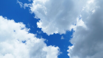 Fototapeta premium background of white thick cumulus clouds on a blue sky on a sunny bright day