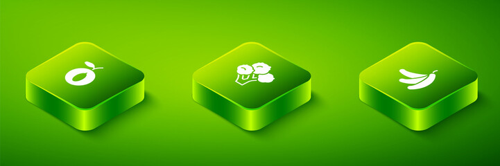 Set Isometric Broccoli, Banana and Plum fruit icon. Vector