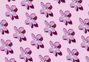 Fototapeta na wymiar Colorful bright floral pattern of lilac on pink background. Group of flower buds making tracery. Flat lay, top view. Web banner