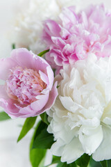 Beautiful bouquet of flowers: white and pink  peonies.