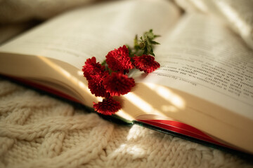 book and rose