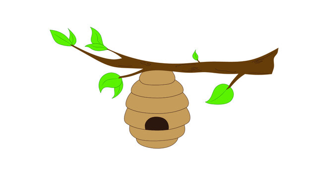 bee hive on a branch