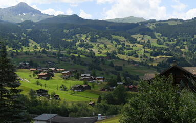 Fototapeta premium Grindelwald