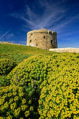 Torre d'en Estuart (Torre d'en Penjat)(s.XVIII).Cala de Sant Esteve. Menorca. Islas...