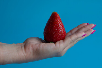 female hand holding a big strawberry on a blue background
