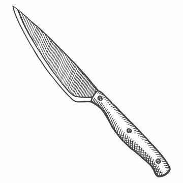 recommend clip art: kitchen utility knife isolated doodle hand drawn sketch with outline style