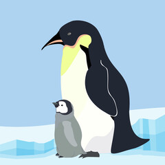 エンペラーペンギン・親子・成鳥・雛・赤ちゃん
