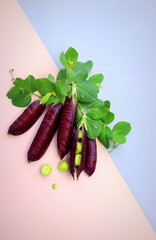 peas purple close-up selective focus, organic vegetables, banner