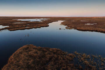 Swampy tundra in the floodplain. Bright June nights in the Arctic. The moon is in the sky. Northern...