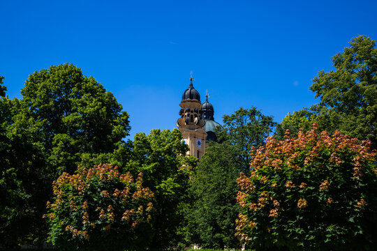 Theatiner Church photographed from the Hofgarten, blue sky