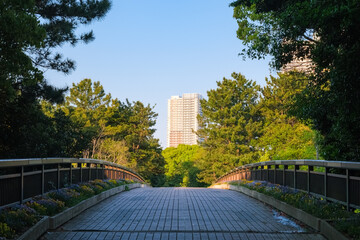 千葉市美浜区 夕方の幕張海浜公園、ひびのばし