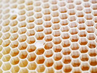 Beekeeping - close-up of cells filled with honey. Background texture and pattern of a section of...