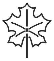 Maple leaf icon. Autumn tree black line symbol