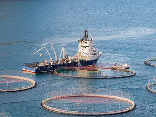 Faroe Islands © Mirek