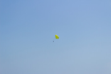 kite in the sky