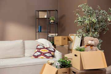 Moving in out, cardboard boxes of packed things stacked on top of each other, a plant in a pot, renting selling an apartment, relocating.