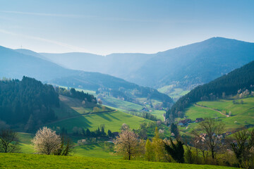 Obraz premium Germany, Schwarzwald tourism destination, village houses in valley surrounded by forested mountains in summer on sunny day, panorama view