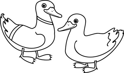 Coloring page with cartoon male and female mallard (Anas platyrhynchos) isolated on white background