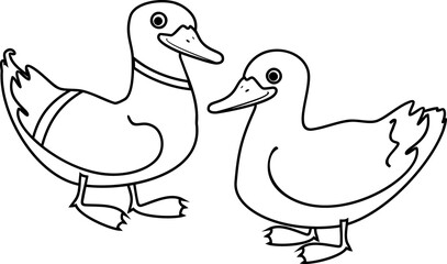 Coloring page with cartoon male and female mallard (Anas platyrhynchos) isolated on white background