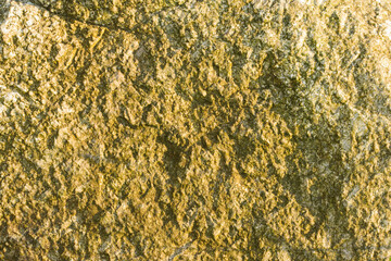 Chropowaty powierzchnia żółtego kamienia © Paweł Kacperek
