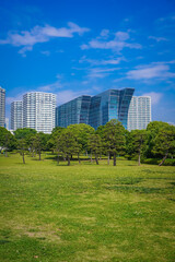 Obraz premium 臨港パークから横浜みなとみらいの高層マンション群