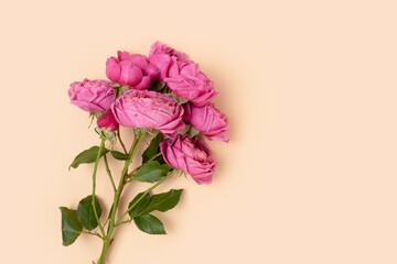 Bouquet of rose flowers on a beige background. Floral springtime concept with copyspace. Gift for Mothers Day.