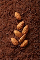 Almonds on cocoa background viewed from above. Top view