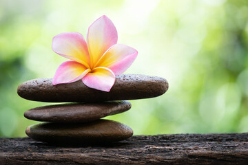Obraz na płótnie Canvas Zen stone and plumeria flower on nature background.