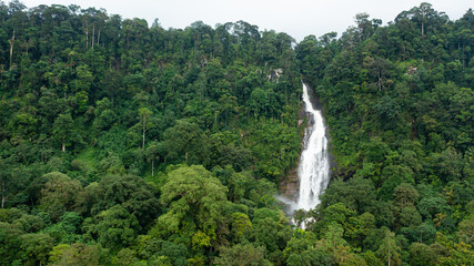 Aerial drone of beautiful waterfall among the rainforest and vegetation. Mapalana Falls. Sri Lanka.