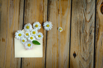 Envelope with vintage style daisies on wooden boards, top view, selective focus with copy space. natural light
