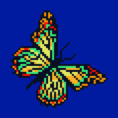 Obraz premium Butterfly Pixel Art Design