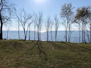 Obraz premium Sun over the river with trees