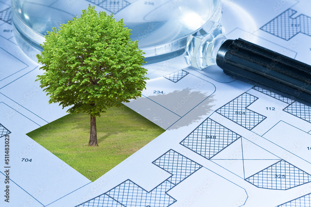 Poster cadastral map with a lone tree on a rural scene - concept image