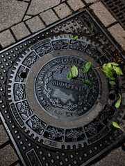 manhole on the street in Budapest 