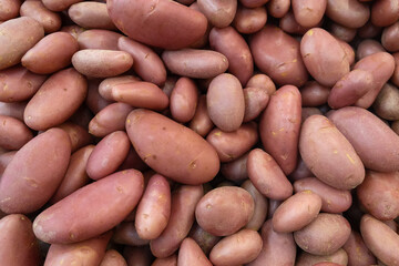 Heap of red potatoes, top view Raw Food. filled frame background