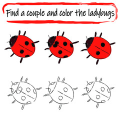Find a couple. Tasks for children. Coloring book. Vector illustration with ladybugs.