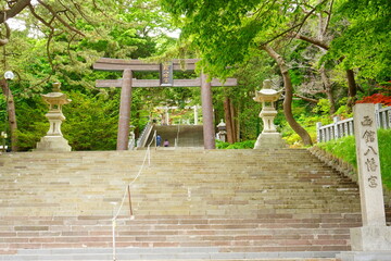 Obraz premium 日本 北海道 函館八幡宮 鳥居 参道