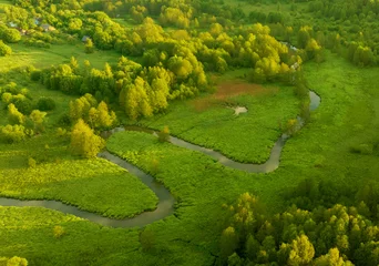 Fluss in freier Wildbahn. Luftbild des kleinen Flusses auf der grünen Wiese und des Waldes im Sumpf. Natürliche Ressourcen und Ökosysteme. Restaurierung des Feuchtgebiets des Wildlife Refuge. Grüne Naturlandschaft. Fluss in der Tierwelt. © MaxSafaniuk