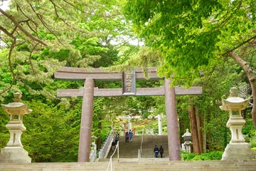 Fototapeten Torii at Hakodate Hachimangu Shrine in Hokkaido, Japan - 日本 北海道 函館八幡宮 鳥居 参道 © Eric Akashi