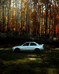 Obraz na płótnie Canvas car in autumn forest