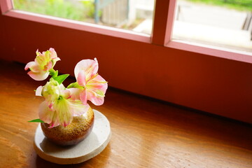 Flowers in vases on windowsill - 窓辺 花瓶 植木鉢	