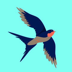 The swallow flies spreading its wings