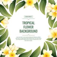 Square background with plumeria flowers. Tropical frangipani plant. Banner, poster, flyer, postcard. Summer illustration. - obrazy, fototapety, plakaty