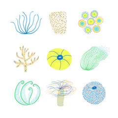 Summer set with underwater plant illustrations