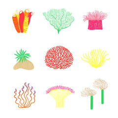 Fototapeta na wymiar Summer set with underwater plant illustrations