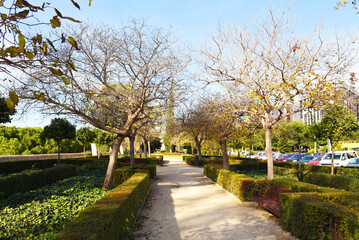 Walking path in City park with green trees. Valencia Central Park with gardens and green trees. Green grass lawn, palm trees and walking paths and Footpath at the beginning of the day in park..